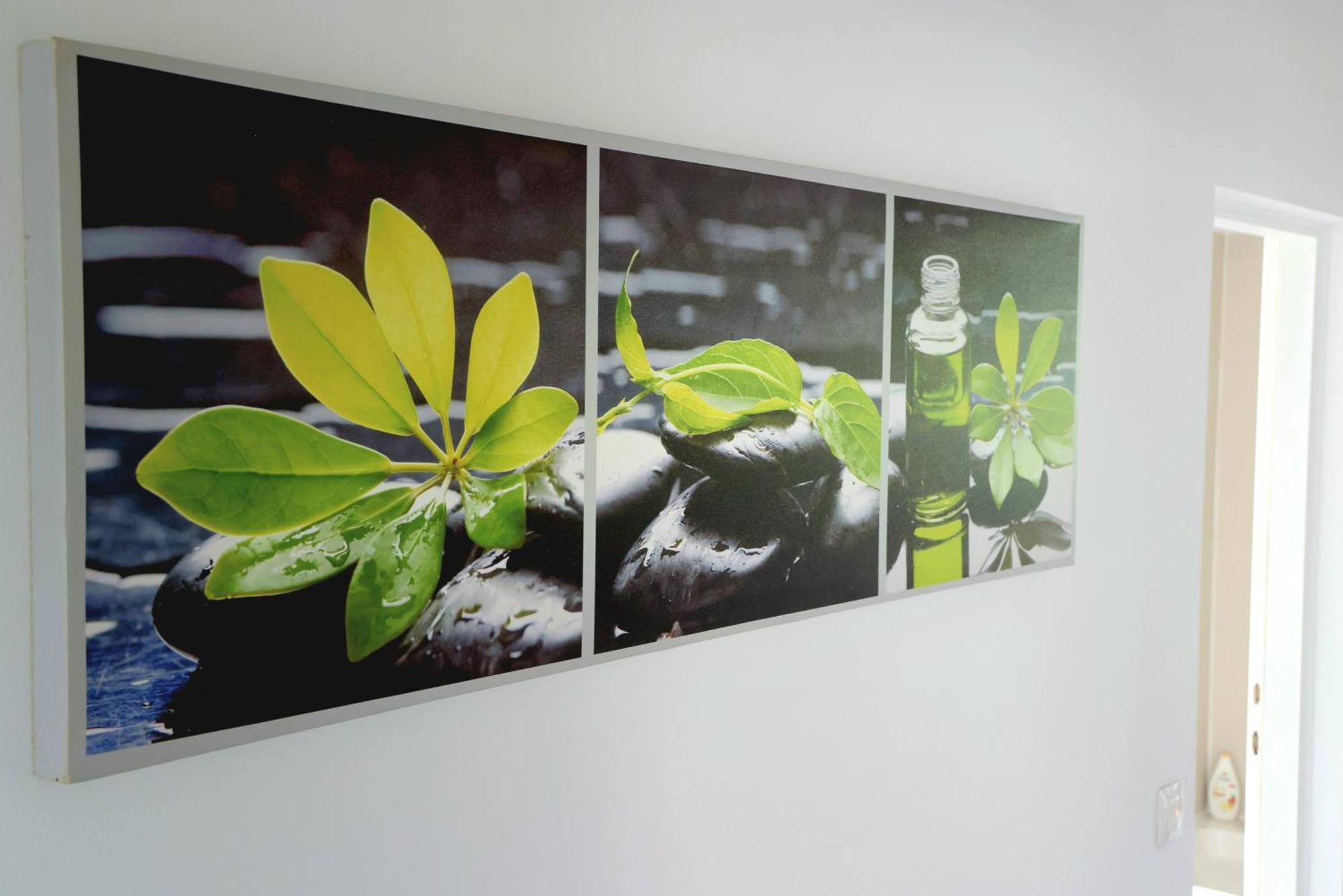 B&B Cindra คาร์โลวัตส์ ภายนอก รูปภาพ